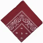 Naiste puuvillane paisley mustriga bandana juustele v&otilde;i randmele
