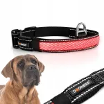Peegeldav LED-kaelarihm koertele DOGNESS, reguleeritav, XL, 55&ndash;70 cm