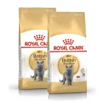 Royal Canin British Shorthair kuivtoit kassidele, 2 x 4 kg