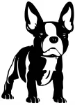 Auto kleebis taustata FRENCH BULLDOG, 19,4 x 14 cm
