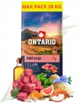 ONTARIO Adult Large Breed kuivtoit koertele lambalihaga, 20 kg