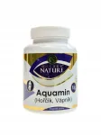 Toidulisand Golden nature Aquamin kaltsium ja magneesium, 100 kapslit