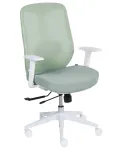 Reguleeritav ergonoomiline roheline kontoritool isteosaga