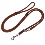 Reguleeritav koera rihm Champion, 2,5 m x 1,0 cm, pruun