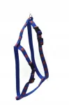 Koera rakmed Alizoo, sinised, 20 mm, 41&ndash;67 cm