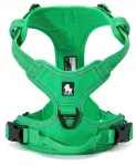 Koera rakmed Truelove Front Line, rohelised, suurus S
