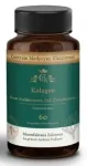 Toidulisand Holistic Herbs Fish Collagen, 60 kapslit
