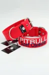 Tikitud kaelarihm Pitbull