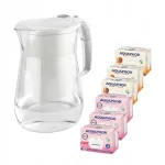Veefiltri kann Aquaphor Onyx 4,2 l 6 filtriga (3 Mg, 3 H), valge