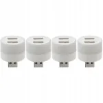 Auto USB lambipakk, 2 pesa, 4 tk