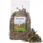 Sidrunmelissi &uuml;rt FACTORYHERBS, 100 g