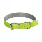Koera kaelarihm Dingo 10 mm x 35 cm ENERGY SILVER, roheline-hall