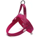 Koera valjad Dolomiti, suurus S, fuksia v&auml;rvi