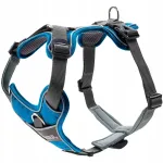 Koera rakmed Hunter Divo, t&uuml;rkiissinised, XS