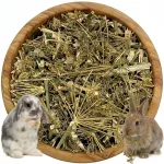 Itaalia fenkol j&auml;nestele Mystic.Garden, 500 g