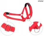 Koera kaelarihm ja valjapanek AMIPLAY HALTER BASIC L, punased