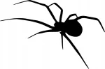 Auto kleebis taustata SPIDER, 12 x 18 cm