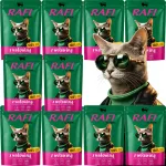 VALLEY RAFI m&auml;rg kassitoit lihaga, 100 g, 10 tk