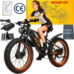 Elektriline t&otilde;ukeratas RICH BIT C01, topeltmootor 3000W, 63 km/h, 48V 20Ah aku