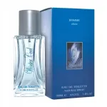 Meeste tualettvesi WINTER COOL 100 ml