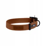 DOGCESSORIES Biothane koera kaelarihm, XXL, 25 mm, helepruun