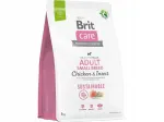 Koeratoit BRIT Adult kanaliha ja putukatega, 3 kg