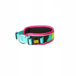 Koera kaelarihm Dingo Active BRASIL, suurus S, 35&ndash;38 cm