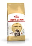 Royal Canin Maine Coon Adult kuivtoit kassidele 10kg