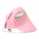 Juhtmevaba vertikaalne hiir Delux M618Mini DB BT+2.4G, 2400 DPI, roosa