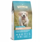 Kuiv koeratoit Divinus Puppy Junior, 4 kg