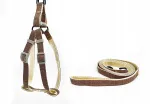 Koera rakmed koos rihmaga BUBU, kreemjad, S/M, 15 mm, 35&ndash;45 cm, rihm 130 cm