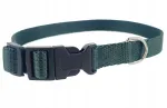 Koera kaelarihm Champion, 30 x 1,3 cm, roheline, pandlaga