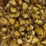 Kuivatatud pirnid n&auml;rilistele, j&auml;nestele, hamstritele ja merisigadele, 300 g, Champi