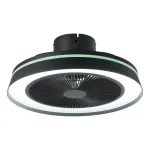 Lagi ventilaator RGB+TW LED valgustusega Eglo VALLONIA 1 35217