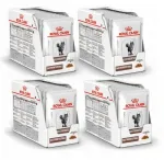 Royal Canin Gastro Intestinal koeratoit 4 x 12x85g