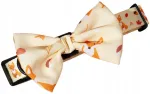 Lemmiklooma krae pandlaga Autumn Foxes XS, 20-35 cm, laiusega 2 cm
