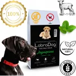 LabraDog h&uuml;poallergeenne koeratoit lambalihaga, maguskartuli ja piparm&uuml;ndiga, 12 kg
