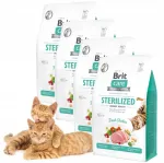 Kassi toit BRIT CARE steriliseeritud kassidele teraviljavaba kanaga, 4 x 400 g