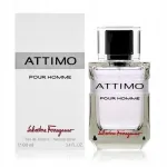 SALVATORE FERRAGAMO ATTIMO POUR HOMME meeste tualettvesi 100 ml
