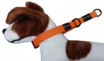 Poolsuruv koera kaelarihm, 30&ndash;55 cm, AMSTAFF, bernhardiinidele