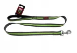 Pet Nova koera rihm, XL, 1,2 m x 25 mm, roheline-hall