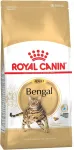 Royal Canin Bengal Adult kuiv kassitoit, 5 kg