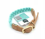 Tekstiilist koera kaelarihm Activ Pet, 2,5 x 50 cm