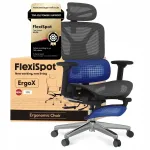 Kontoritool FLEXISPOT Ergox, 5D reguleerimine, adaptiivne nimmetugi, v&otilde;rk