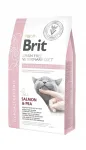 BRIT Veterinary Diets hipoallergeenne kassitoit, 2 kg