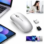 Traadita hiir Bluetooth 2.4G, vaikselt t&ouml;&ouml;tav, 3 DPI, USB Type-C, h&otilde;bedane