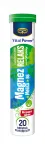 Toidulisand magneesiumi, melissiga ja B6-vitamiiniga