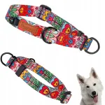 Ukory roosakas koerarihm Yorkile, Chihuahuale ja Pomeranianile, 20&ndash;27 cm