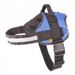 Koera rakmed Dingo Strong, sinised, 71-95 cm