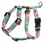 Koera rakmed Hauki Blooming Cherry, XS
